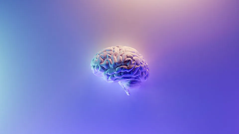 🧠 参与科研项目