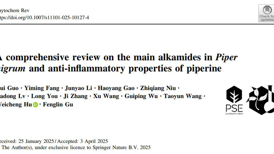 A comprehensive review on the main alkamides in Piper nigrum and anti-inflammatory properties of piperine